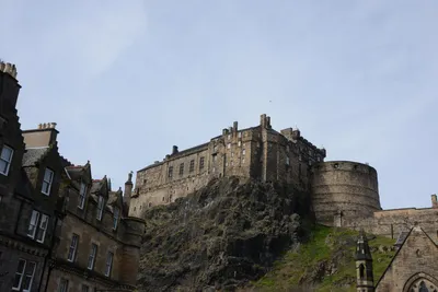 DSC_7374 (Large).JPG